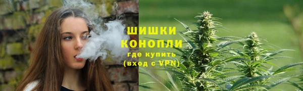 молекула духа Лагань