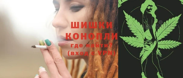 хмурый Лиски