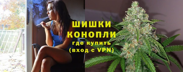 хмурый Лиски