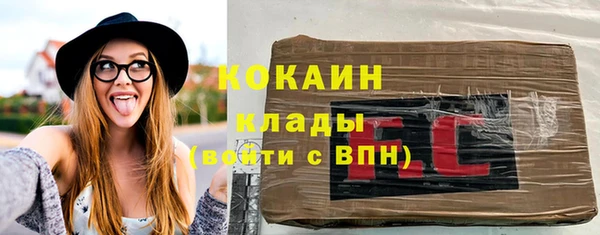 хмурый Лиски